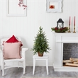 Nearly Natural 2.5ft Green Christmas Tree with Planter & Clear Lights