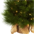 Nearly Natural 3ft Green Christmas Tree with Burlap Bag & Clear Lights