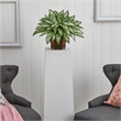 Nearly Natural Triple Silver Queen with Hexagon Vase Silk Plant in Green