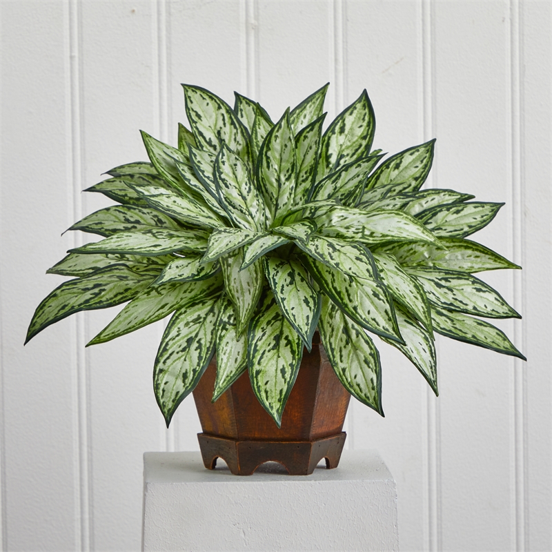 Nearly Natural Triple Silver Queen with Hexagon Vase Silk Plant in Green