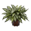 Nearly Natural Triple Silver Queen with Hexagon Vase Silk Plant in Green