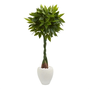 Nearly Natural 5ft Money Artificial Tree in White Oval Planter (Real Touch