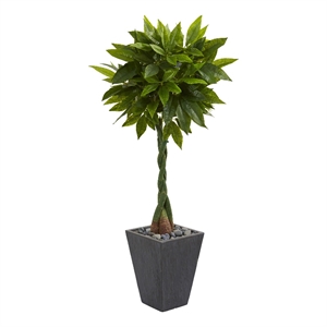 Nearly Natural 5ft Money Artificial Tree in Slate Planter (Real Touch) in Green