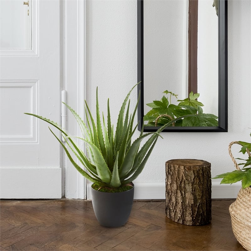 Nearly Natural Aloe Artificial Plant in Green