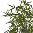 Nearly Natural 5ft Black Bamboo Artificial Tree in White Oval Planter in Green