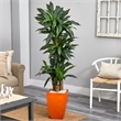 Nearly Natural 5.5ft Dracaena Plant in Orange Square Planter (Real Touch)