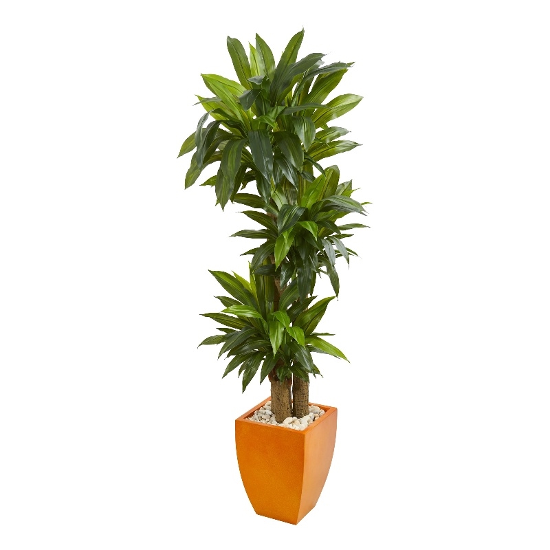 Nearly Natural 5.5ft Dracaena Plant in Orange Square Planter (Real Touch)