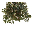 Nearly Natural Hoya Artificial Plant Hanging Basket in Green