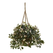 Nearly Natural Hoya Artificial Plant Hanging Basket in Green
