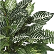 Nearly Natural Mixed Greens Zebra with Wicker Silk Plant in Green