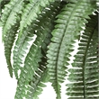 Nearly Natural Boston Fern with Wood Vase Silk Plant in Green