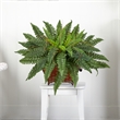 Nearly Natural Boston Fern in Metallic Planter in Green