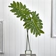 Nearly Natural Selloum Artificial Plant in Cylinder Glass in Green