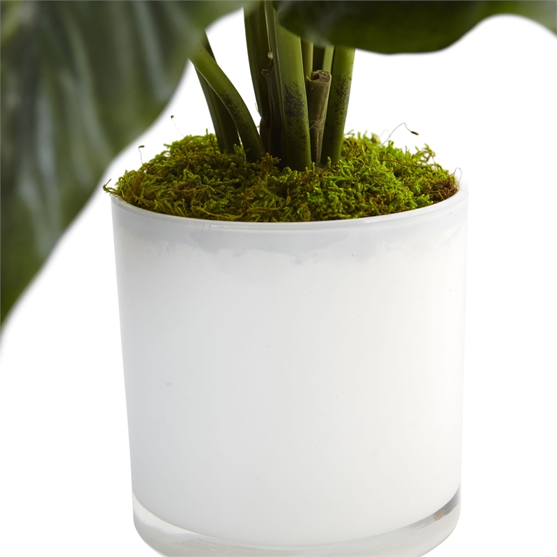 Nearly Natural Spathiphyllum Artificial Flowering Peace Lily in Glass Planter