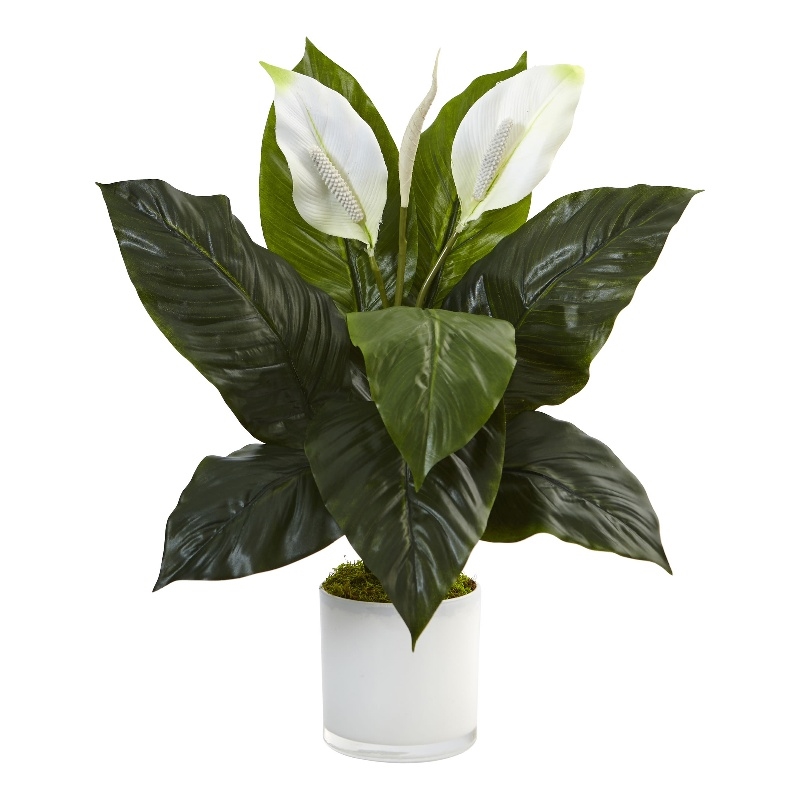 Nearly Natural Spathiphyllum Artificial Flowering Peace Lily in Glass Planter