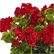 Nearly Natural Geranium Silk Plant in Rectangular Planter UV Resistant