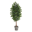 Nearly Natural 8ft Ficus Tree in Handmade Black/White Jute/Cotton Planter