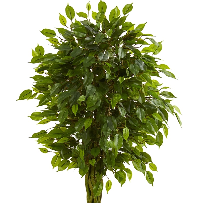 Nearly Natural 5ft Braided Ficus Tree in Slate Planter UV Resistant