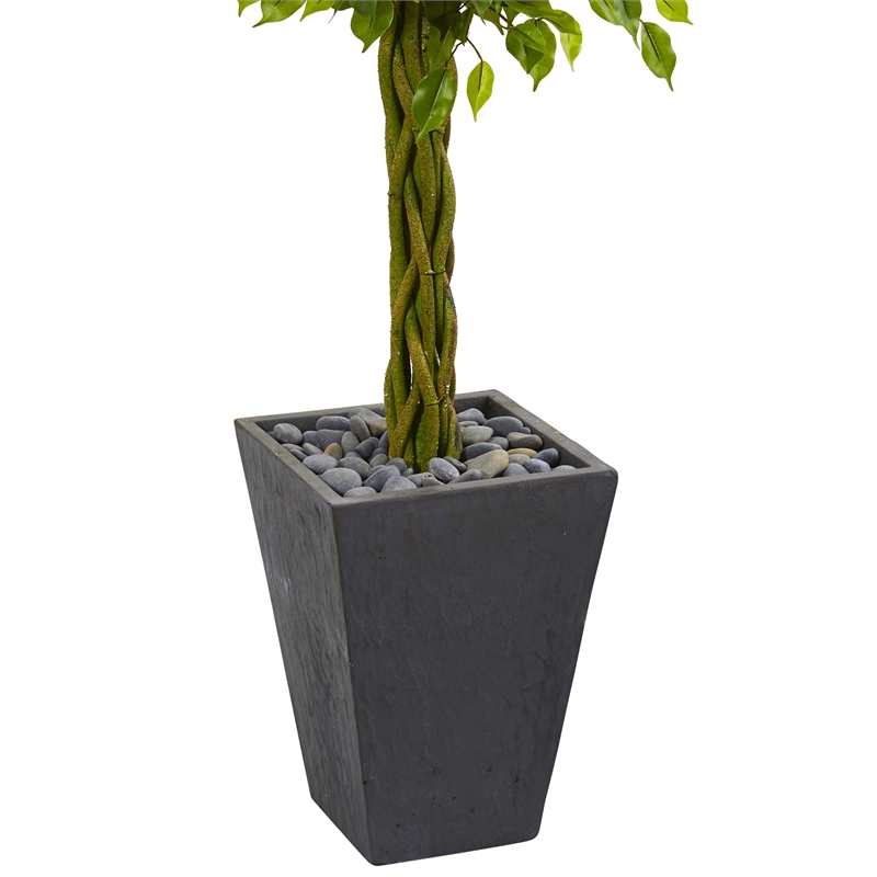 Nearly Natural 5ft Braided Ficus Tree in Slate Planter UV Resistant