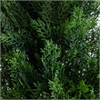 Nearly Natural 9ft UV Resistant Artificial Cedar Pine Tree (Indoor/Outdoor)
