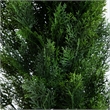 Nearly Natural 10ft UV Resistant Artificial Cedar Pine Tree (Indoor/Outdoor)