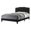 Black Velvet Upholstered Panel Bed with Silver Nailhead - Full
