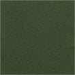 Best Quality Furniture Green Teddy Fabric Side Chairs with Gold Chrome