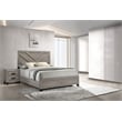 Best Quality Furniture Light Gray Wood 2 Pc Bedroom Set with Full Panel Bed