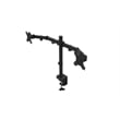 Rocelco Premium Desk Computer Monitor Mount - VESA pattern - Black (R DM2)