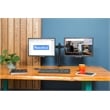 Rocelco Premium Desk Computer Monitor Mount - VESA pattern - Black (R DM2)