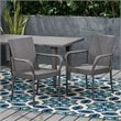 Afuera Living Outdoor Wicker Dining Chair in Gray (Set of 2)