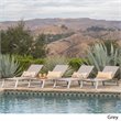 Afuera Living Outdoor Aluminum Chaise Lounge in Gray (Set of 4)