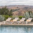 Afuera Living Outdoor Aluminum Chaise Lounge in Gray (Set of 4)