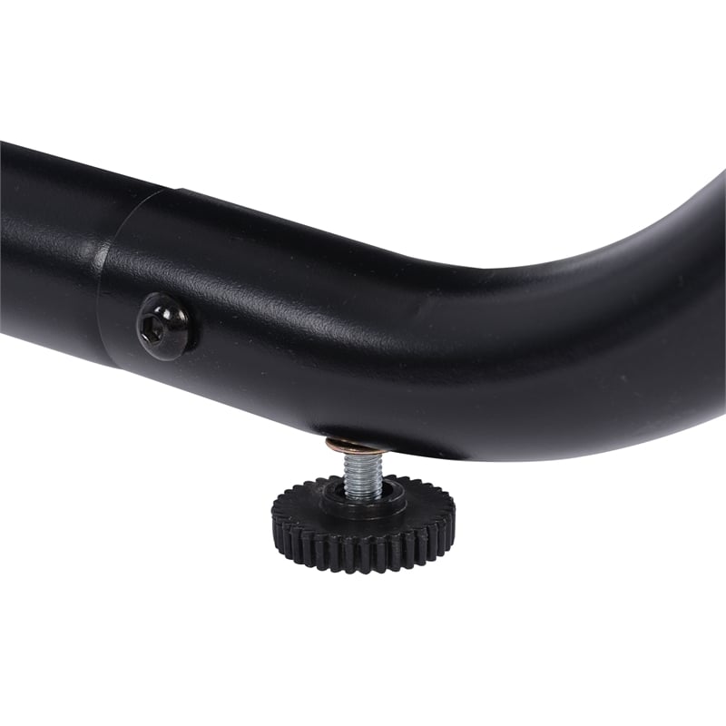 Afuera Living Outdoor Metal Swing with Canopy Sun Shade in Black