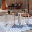 Afuera Living Modern Modern Outdoor End Table in Natural Set of 2
