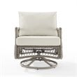 Afuera Living Wicker/Steel Metal Patio Swivel Glider Chair in Creme/Driftwood