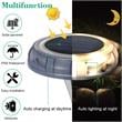 Afuera Living 4-light Deco LED Garden Pool Porch Waterproof Light in Warm White