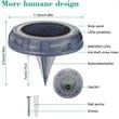 Afuera Living 4-light Deco LED Garden Pool Porch Waterproof Light in Warm White