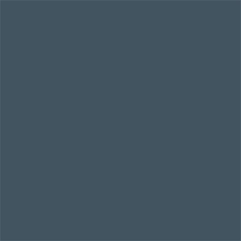 Afuera Living Outdoor/Indoor Stacking Resin Chair in Navy (2-Pack)