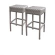 Afuera Living Contemporary Rust Resistant 2 Backless Barstools