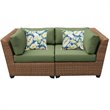Afuera Living Contemporary Polyethylene Resin Patio Wicker Loveseat in Green