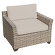 Afuera Living Outdoor Traditional Wicker Club Chair in Beige