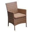 Afuera Living Wicker Patio Arm Dining Chairs in Wheat (Set of 2)