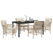 Afuera Living 5 Piece Poly Rattan Garden Dining Set with Cushions in Black
