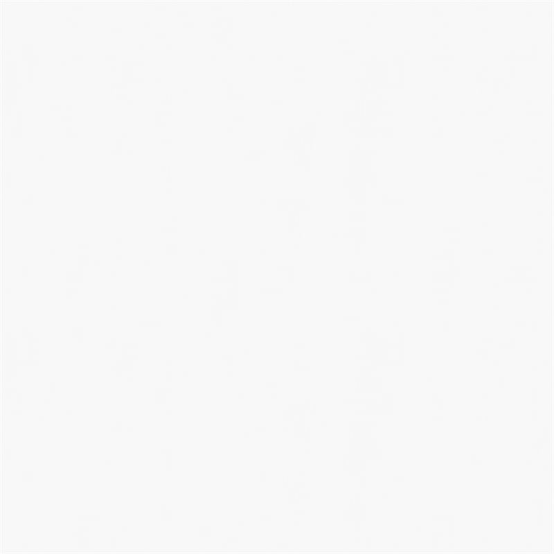 Afuera Living Indoor/Outdoor 2-Slat Adirondack Resin Rockers in White - Set of 2