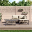 Afuera Living Contemporary Garden Lounge Set in Anthracite & Beige
