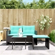 Afuera Living Contemporary 2-Seater PE Rattan Patio Sofa Set in Black