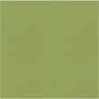 Afuera Living Contemporary 6 Piece Poly Rattan Lounge Set in Green/Brown