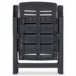 Afuera Living Contemporary in Anthracite Plastic Medium Foldable