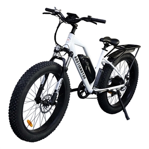 Afuera Living 750W Fat Tire Electric Bike with Removable 48V Battery in White